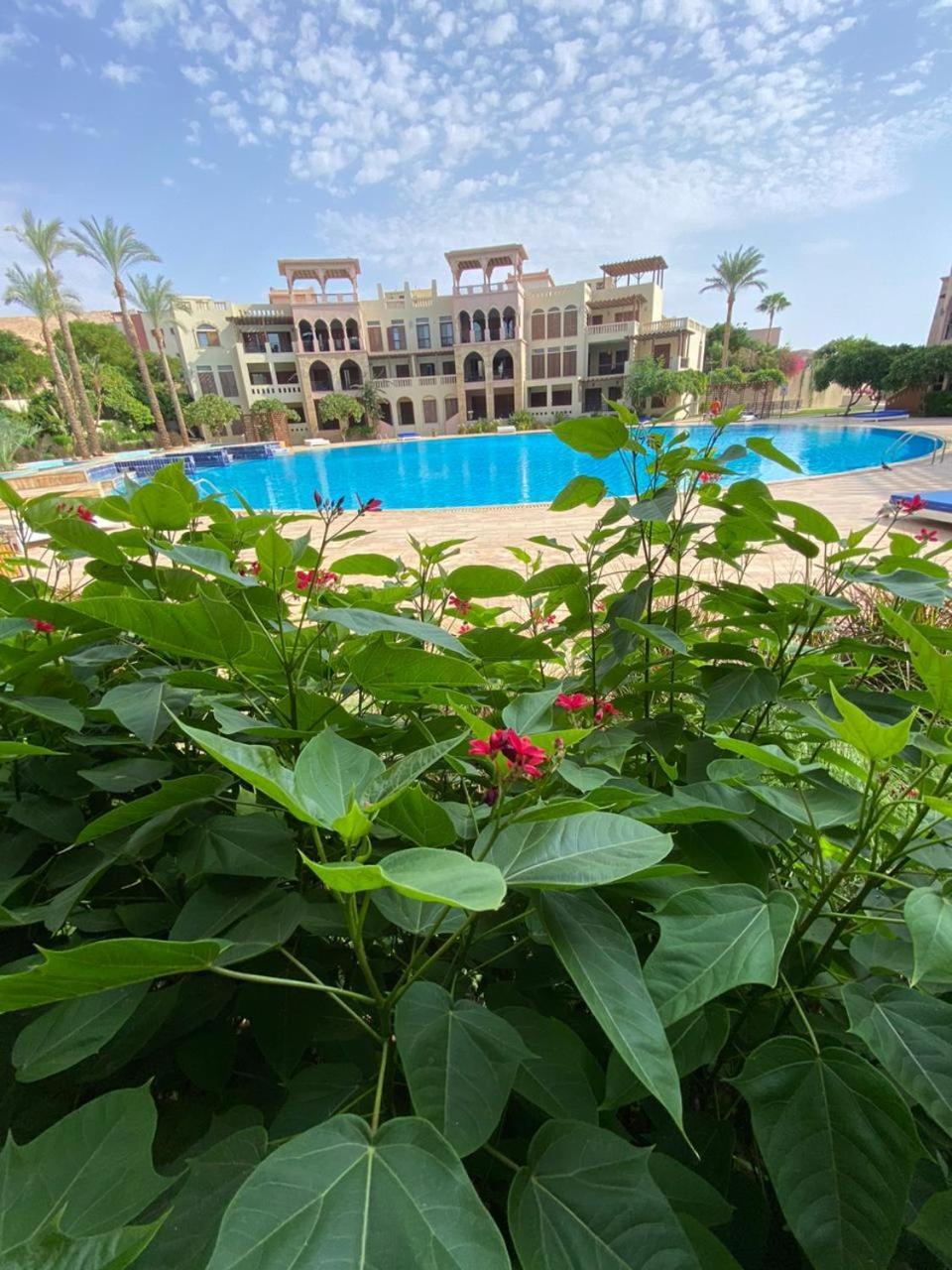 One Bedroom Apartments Aqaba On 2 Swimming Pool Tala Bay Ngoại thất bức ảnh